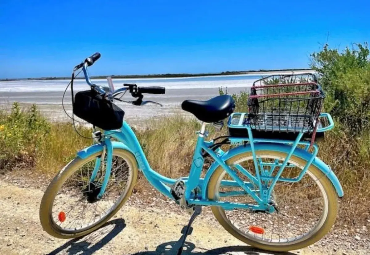 le vélociste location de vélo